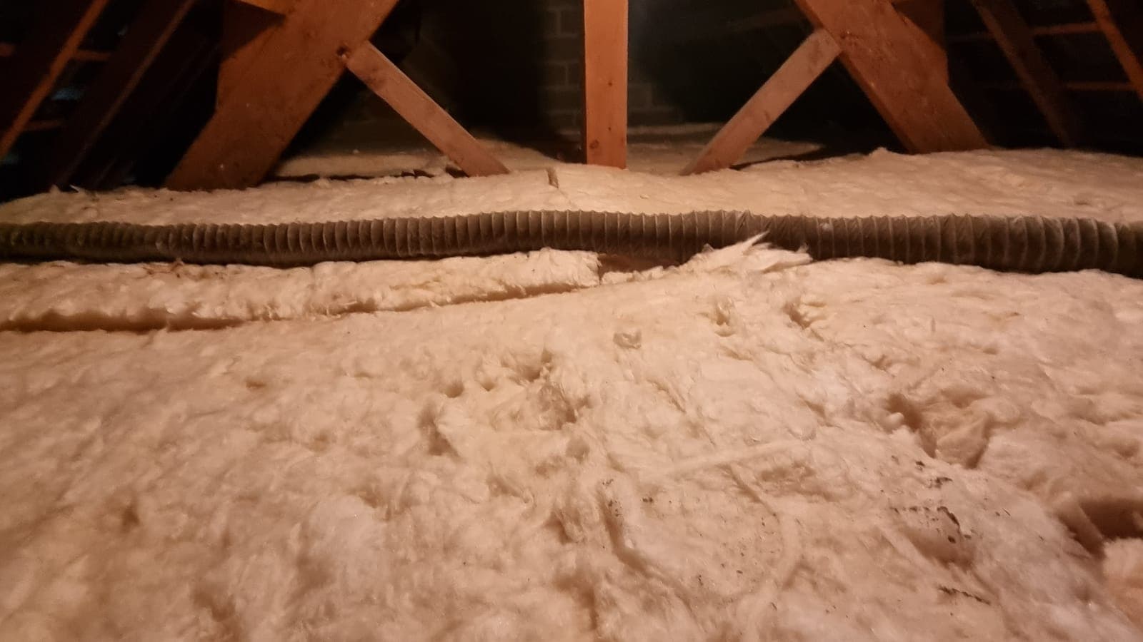 Comble sous charpente bois, couche épaisse de laine isolante au sol