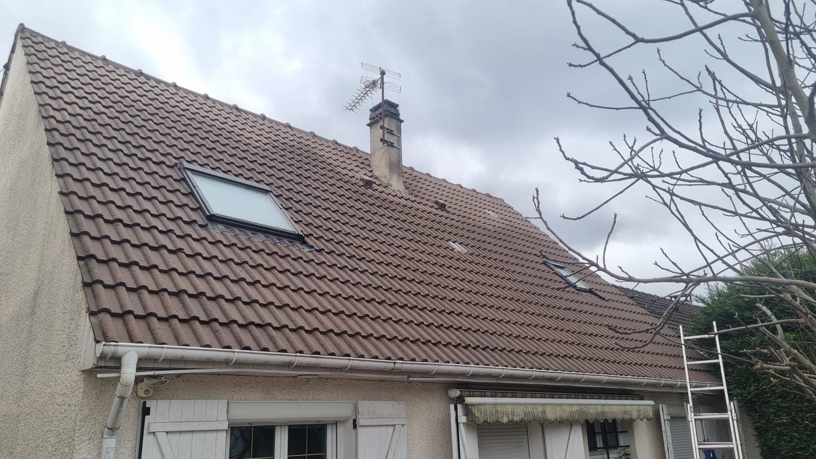 Versant de toiture en tuiles brunes avec une fenêtre de toit, échelle contre le pignon